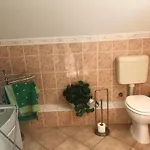 Apartment Balatonfenyves *